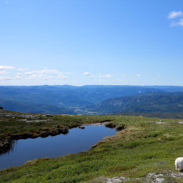 Hallingdal