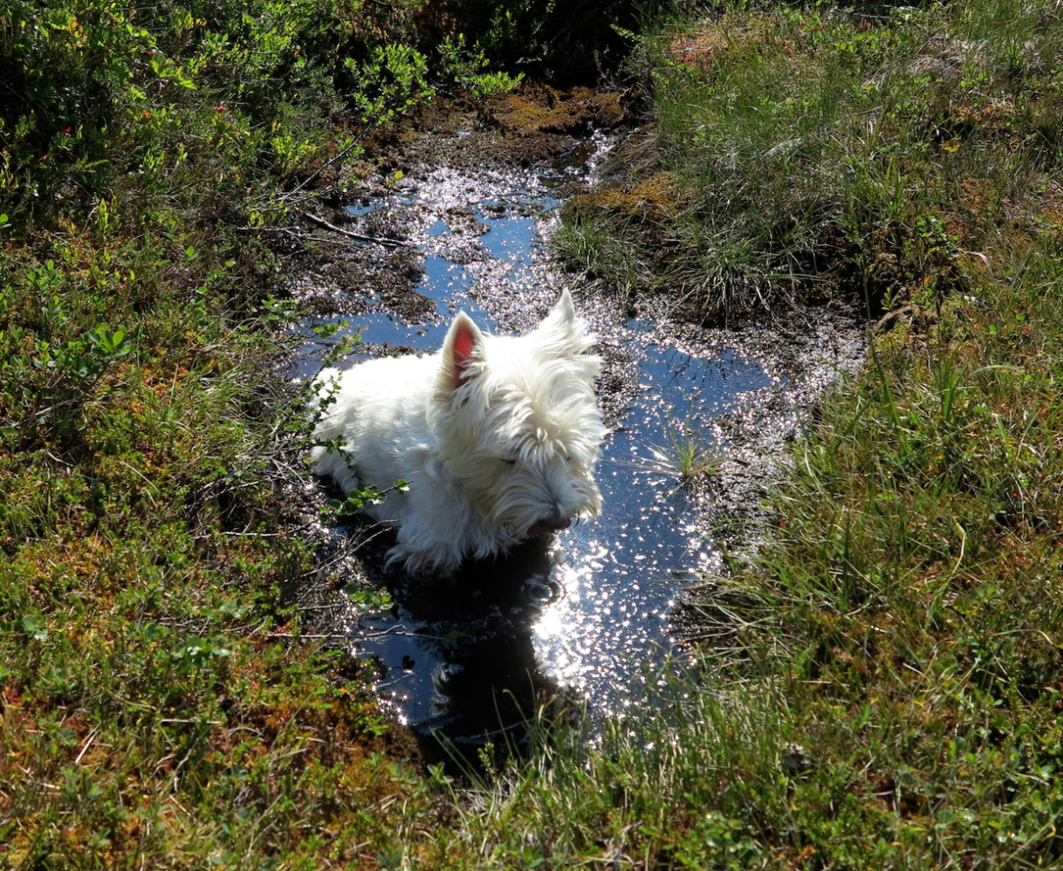 mudbath!