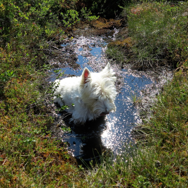 mudbath!