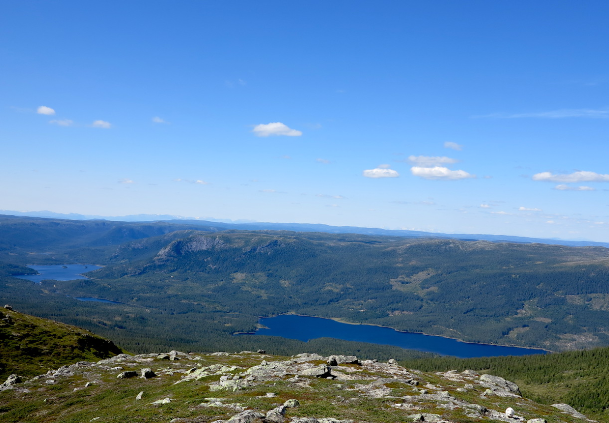 Aurdalsfjorden