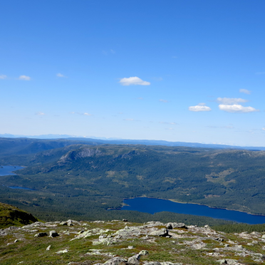 Aurdalsfjorden