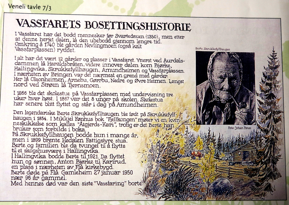 local history