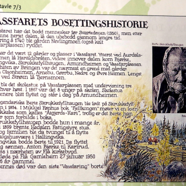 local history