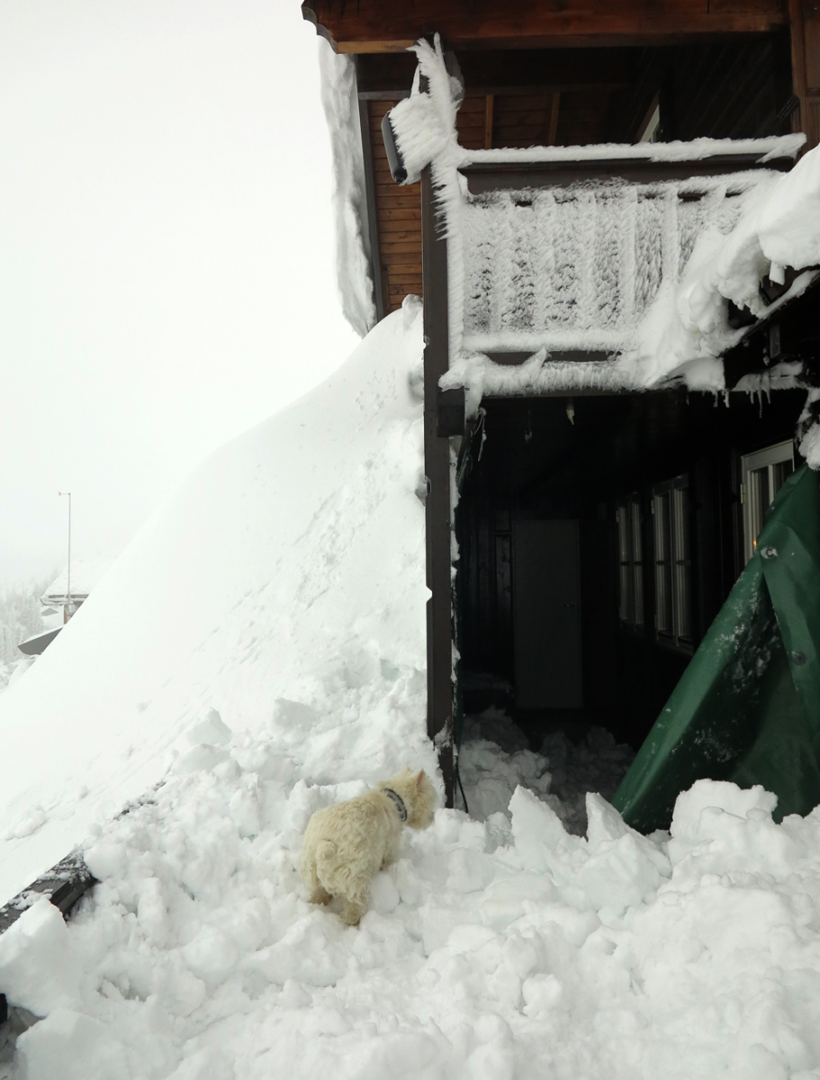 snowed in 