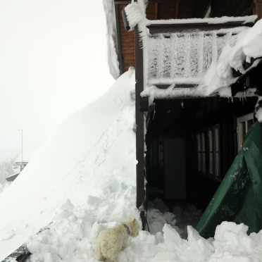 snowed in 