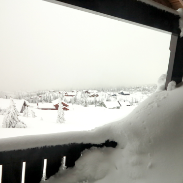 view from the upstairs
