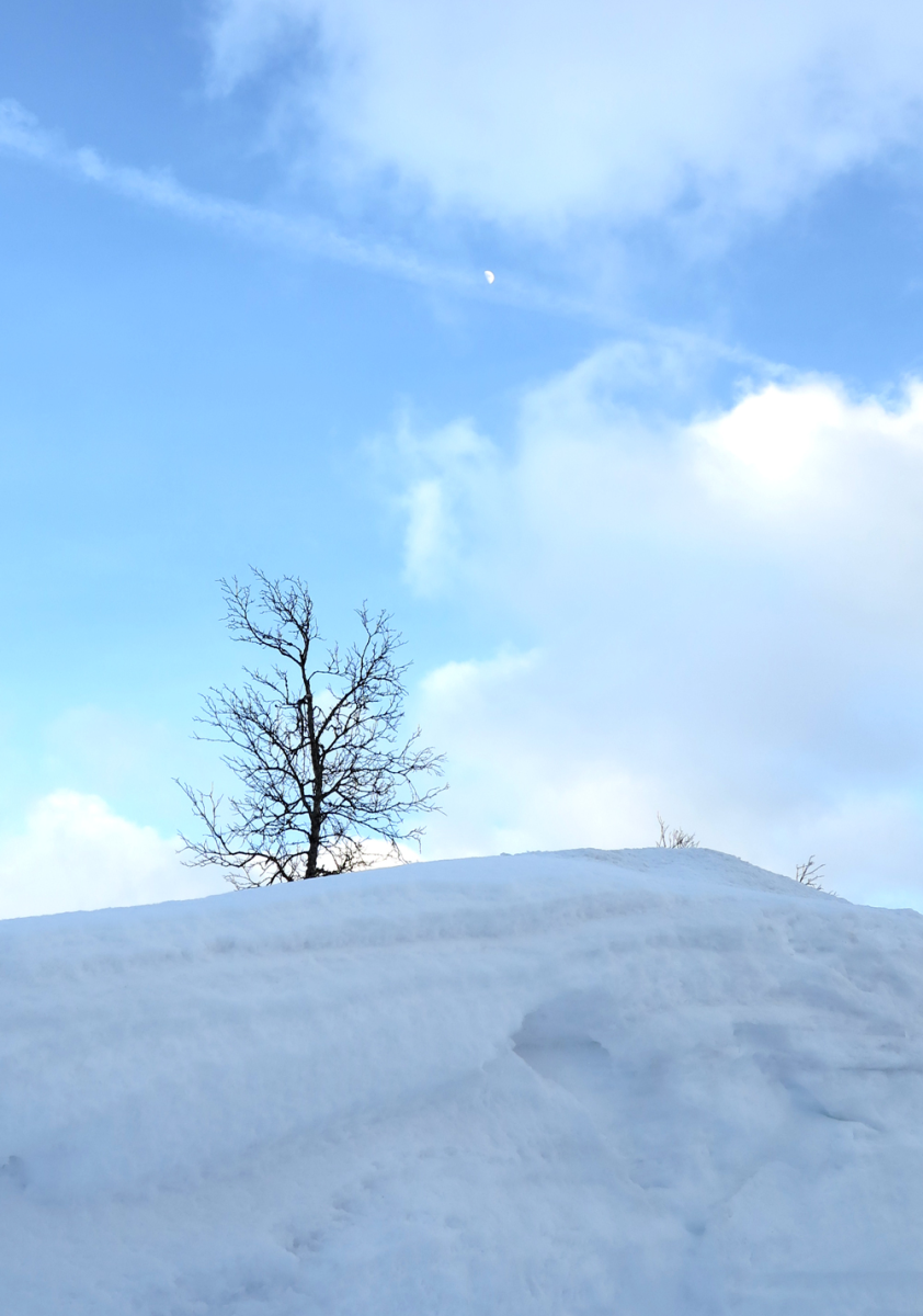 midday moon