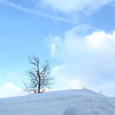 midday moon