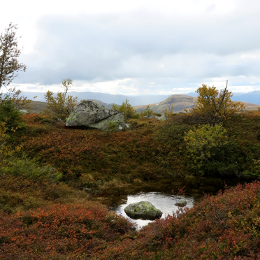 pond