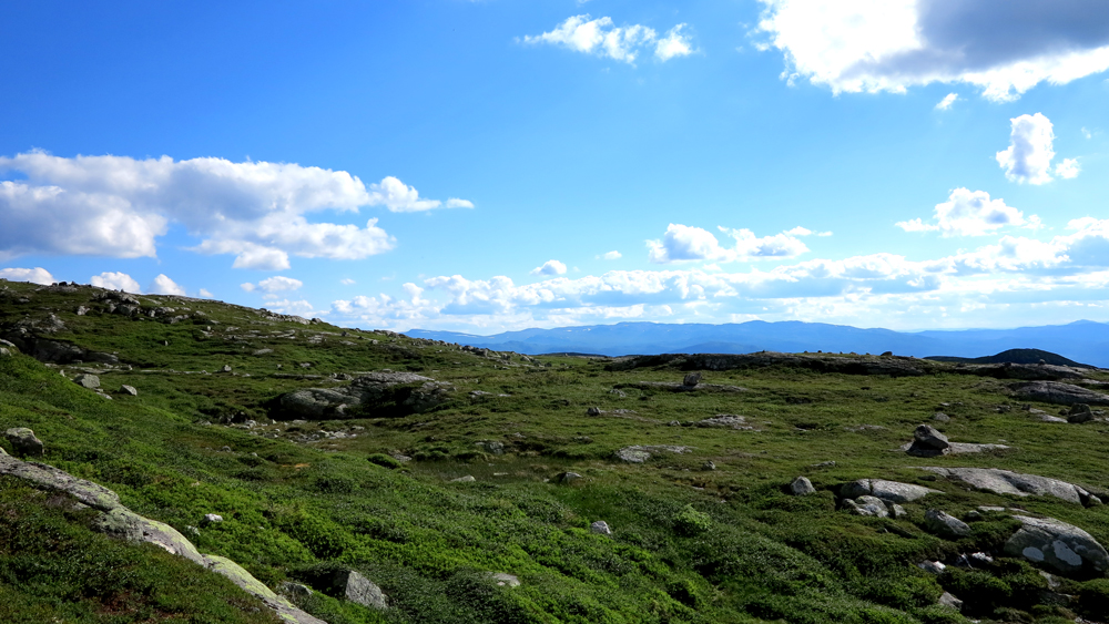 Vassfaret
