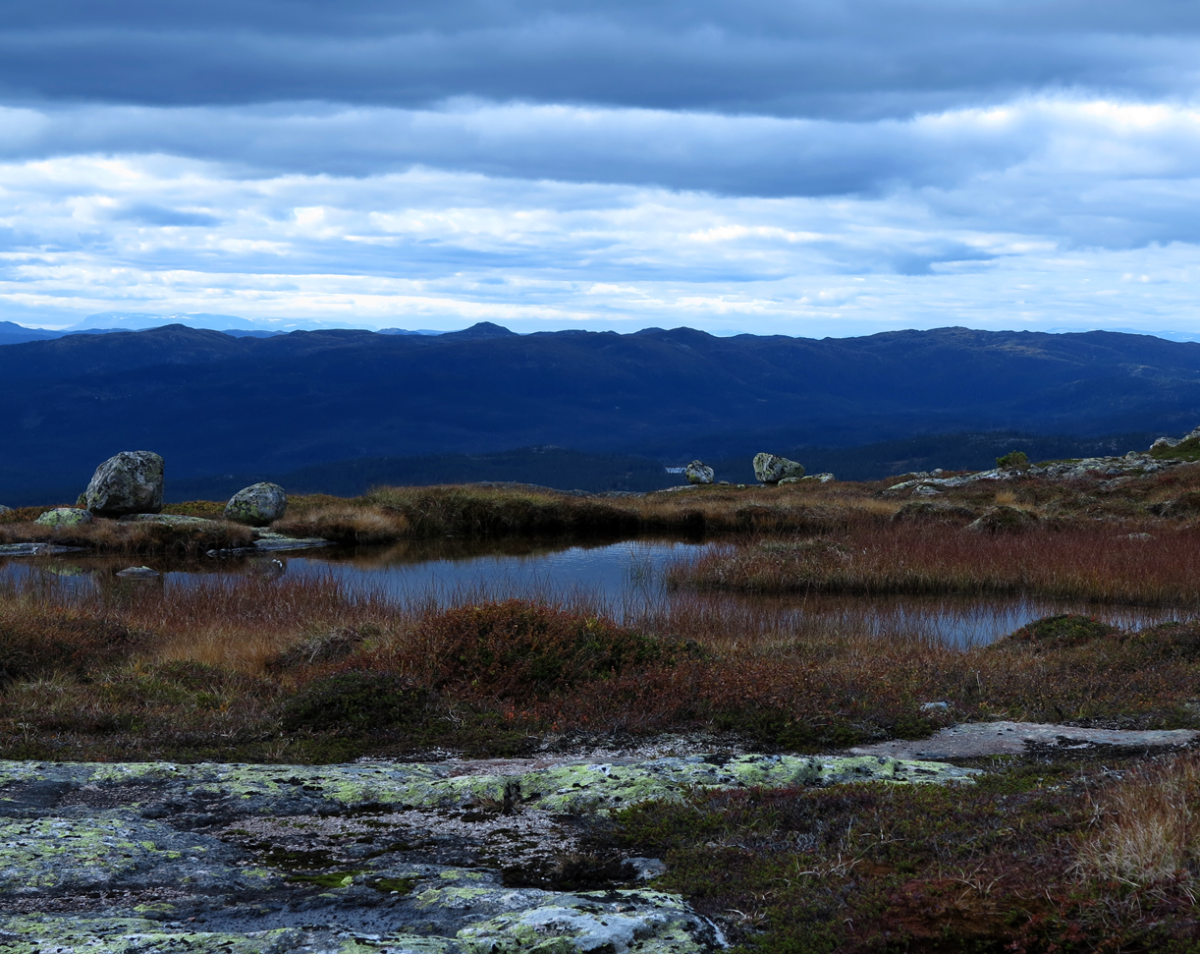 pond