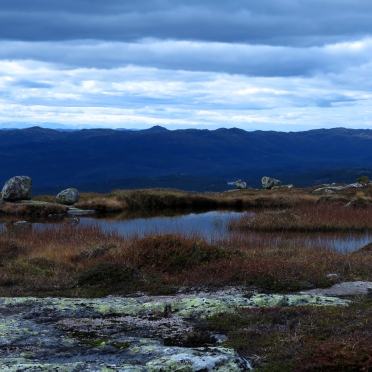 pond