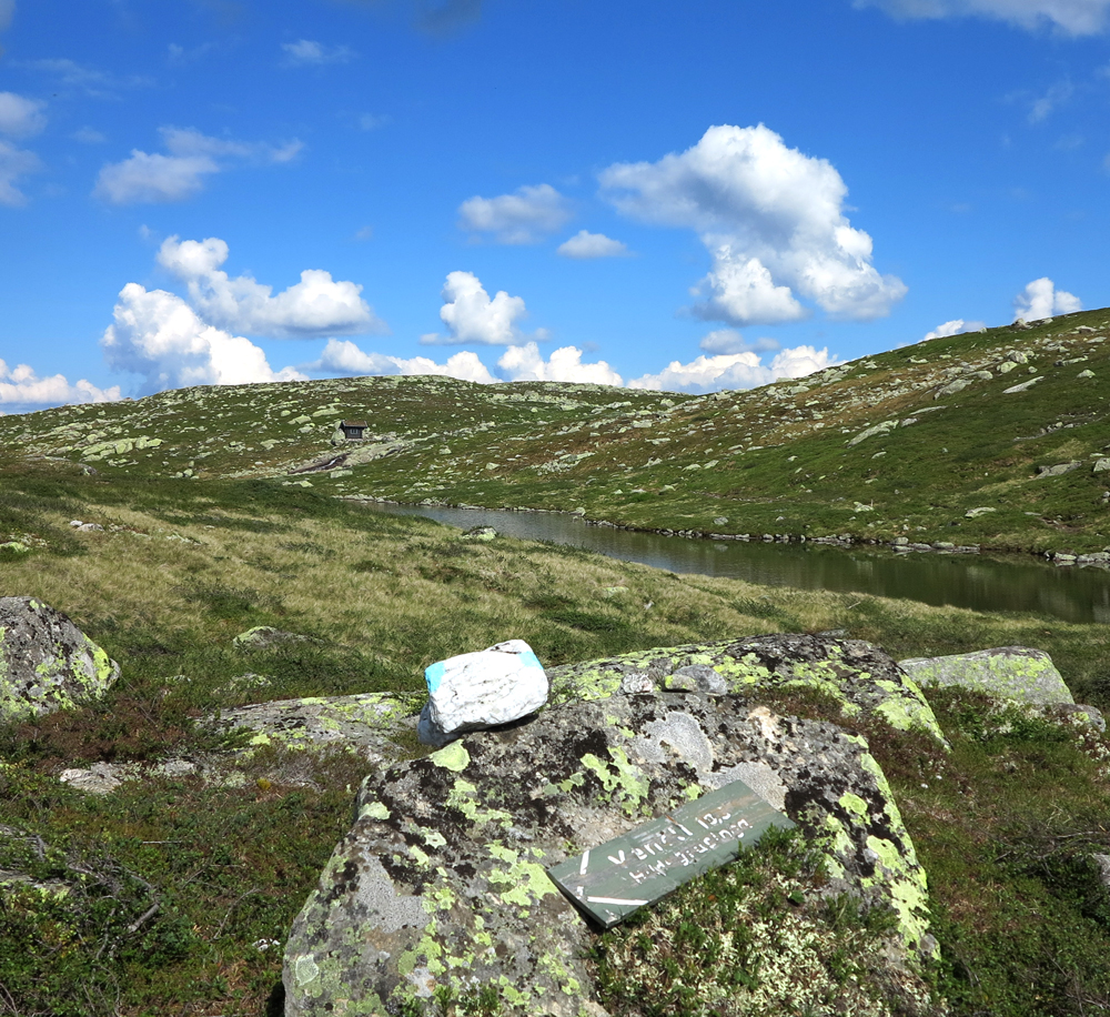 Harehopp, Vassfarfjellet