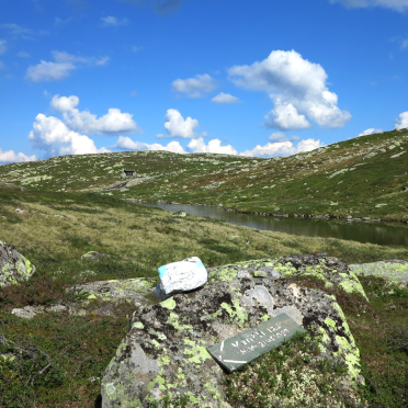 Harehopp, Vassfarfjellet
