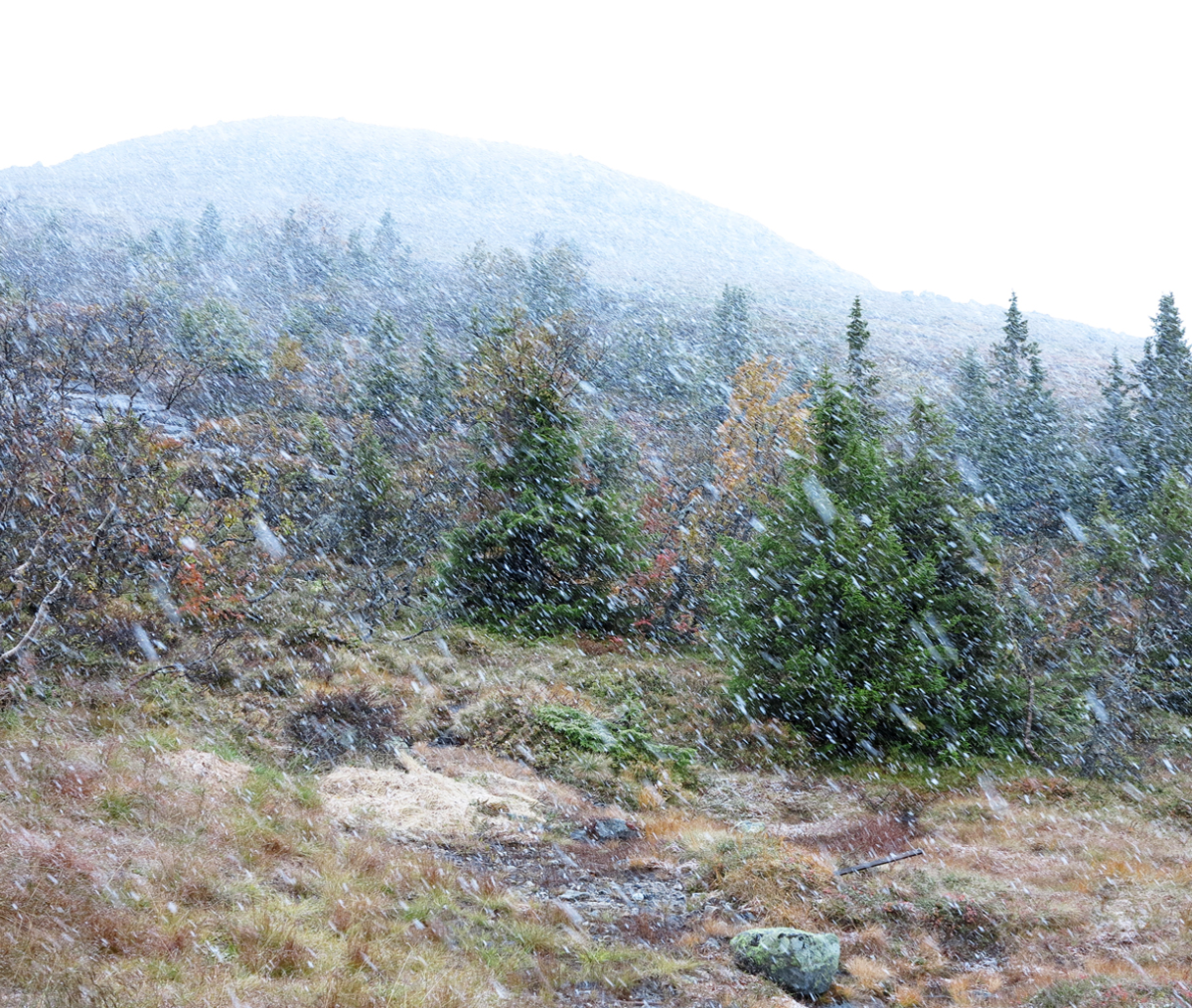 snow