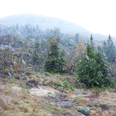 snow