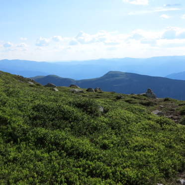Vassfarfjellet