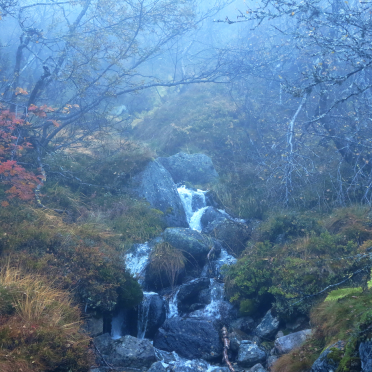 stream 1