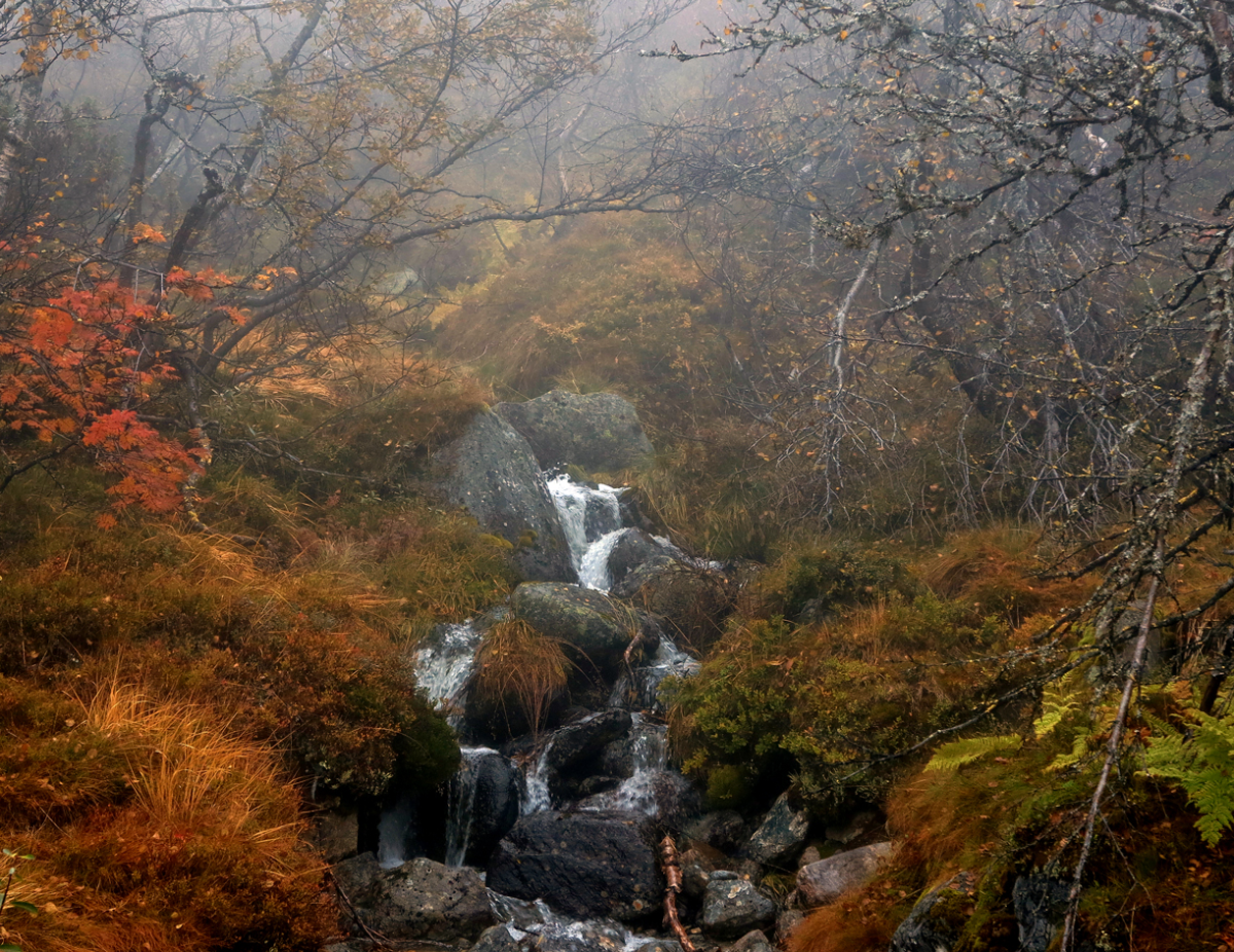 stream 3