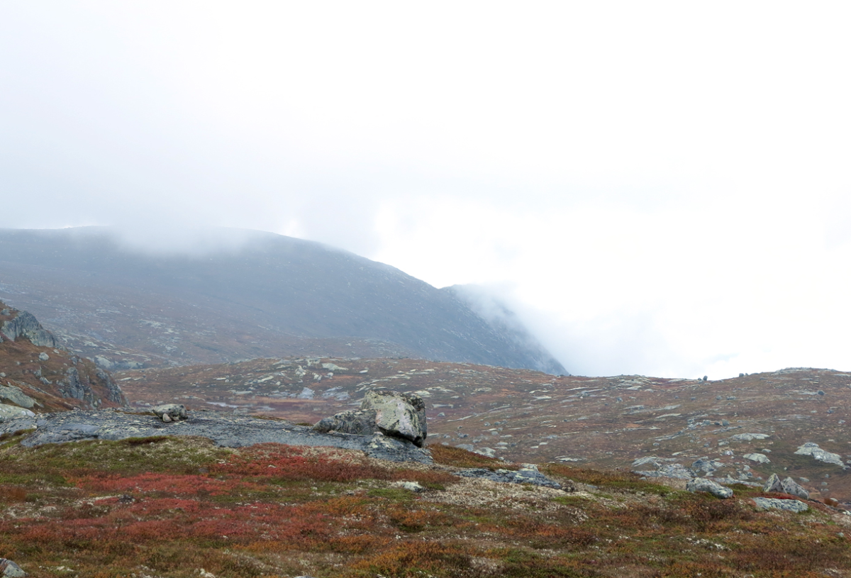 sørbølnatten – somewhere
