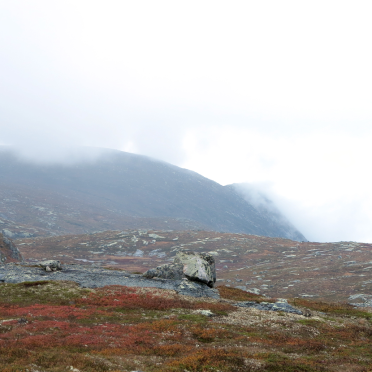 sørbølnatten – somewhere