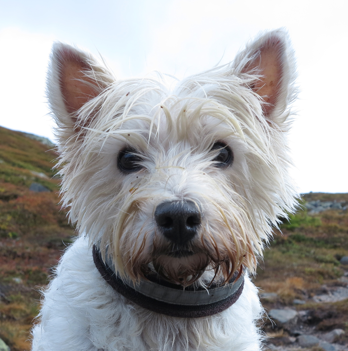 what do you mean, wet face?