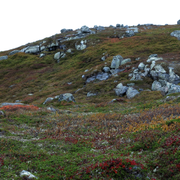 uphill…