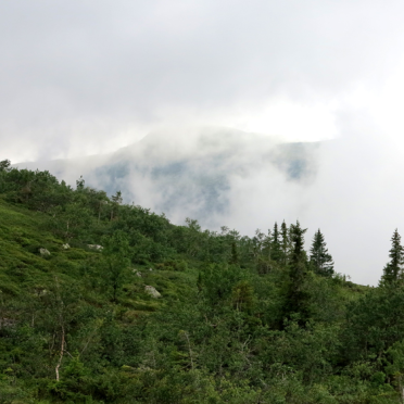 fog