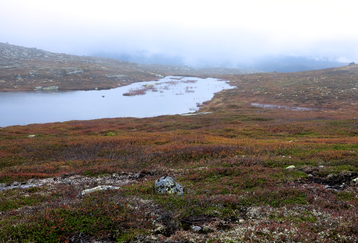 nameless lake