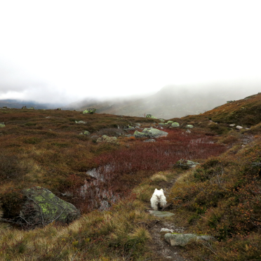 along the little ponds…