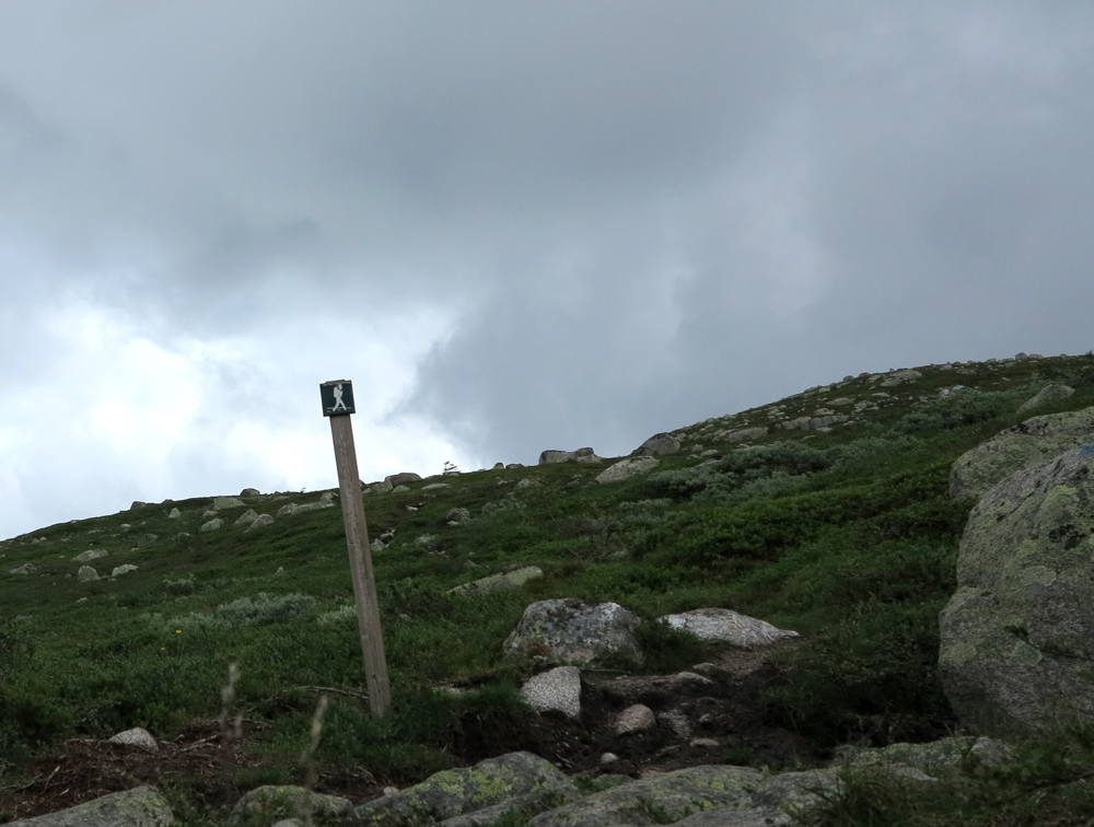 Vassfarfjellet