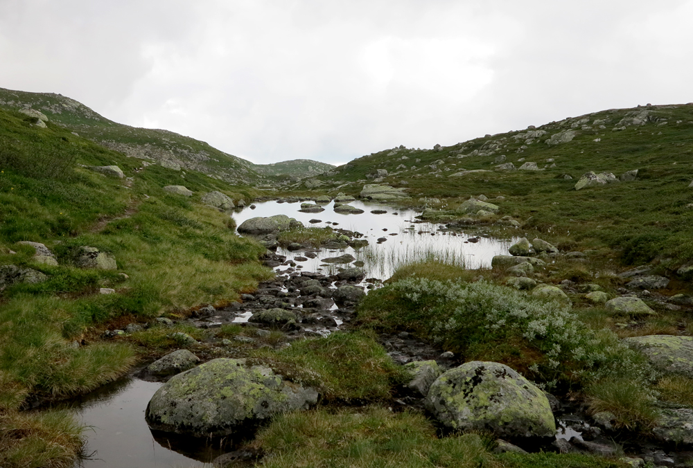 Vassfarfjellet