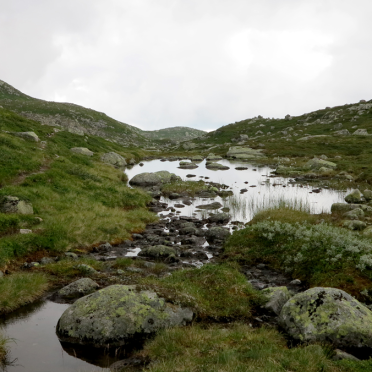 Vassfarfjellet