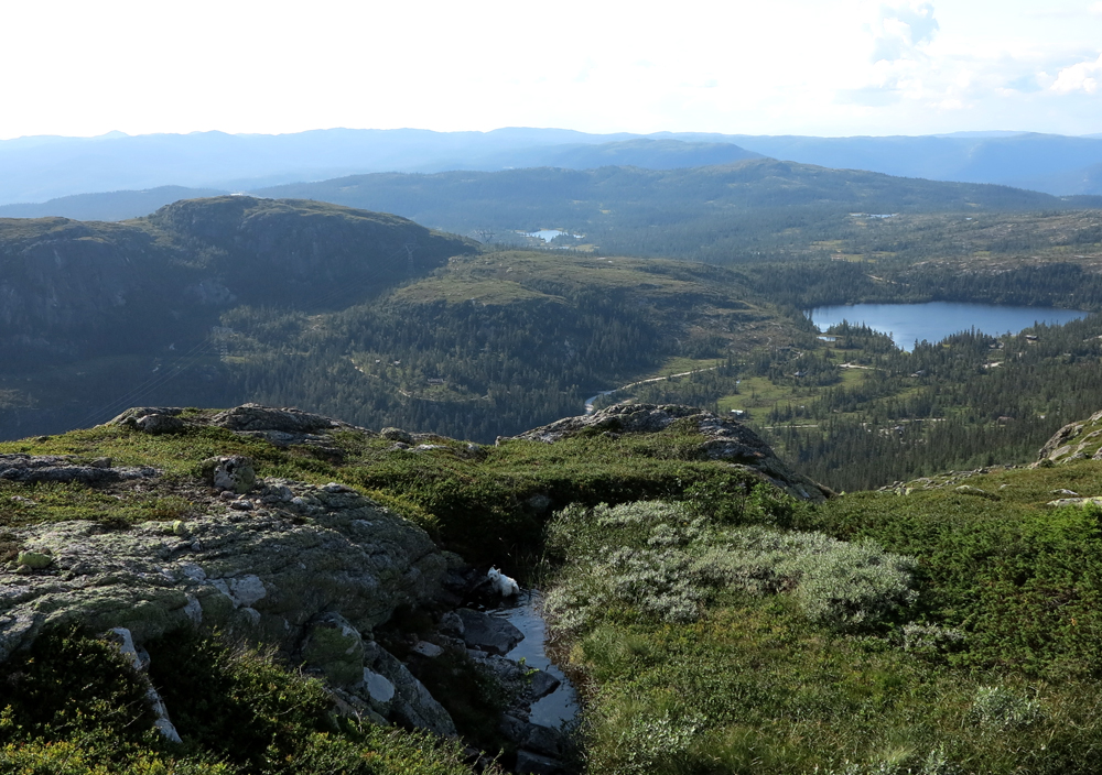 Vassfarfjellet