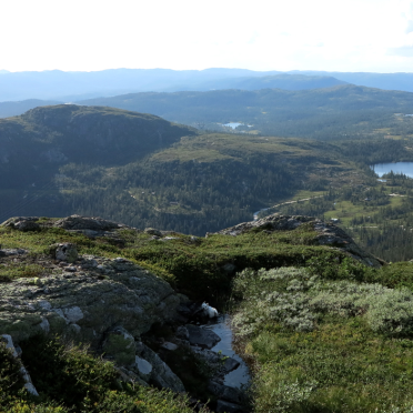 Vassfarfjellet