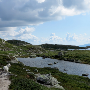 Vassfarfjellet, Flå