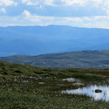 Vassfarfjellet, Flå