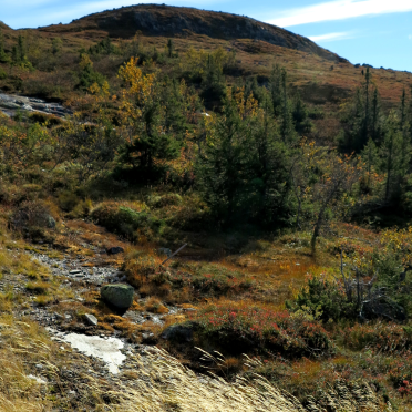 vassfarfjellet, autumn