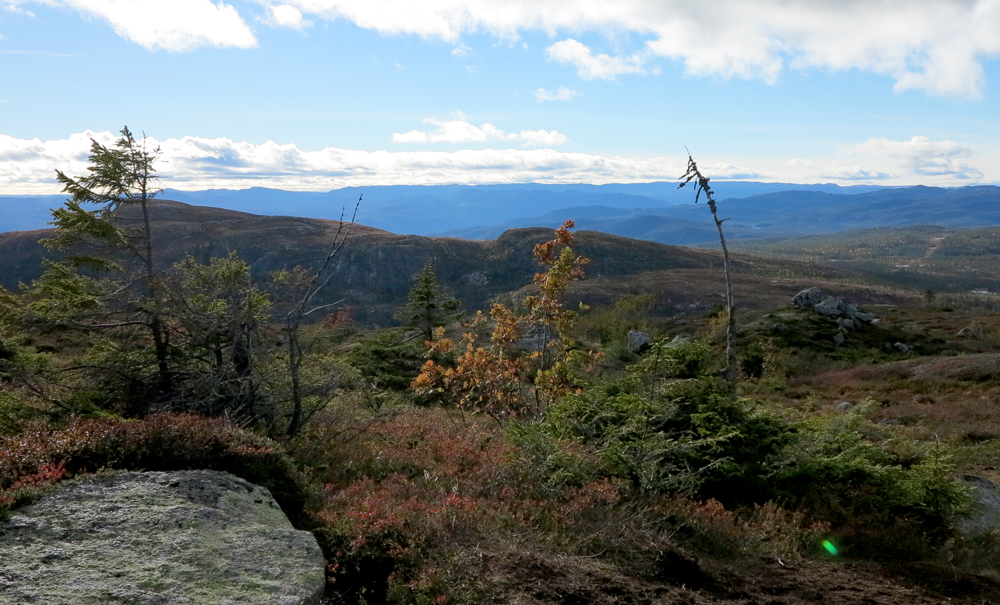 vassfarfjellet, autumn