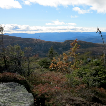 vassfarfjellet, autumn