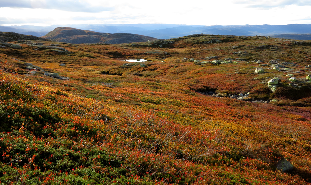 vassfarfjellet