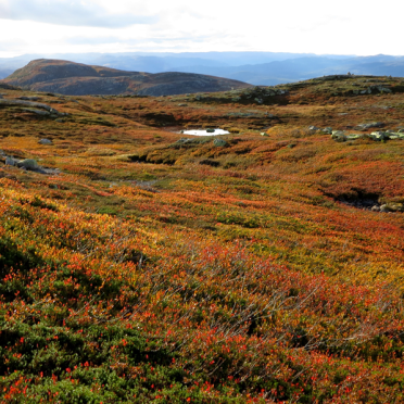 vassfarfjellet