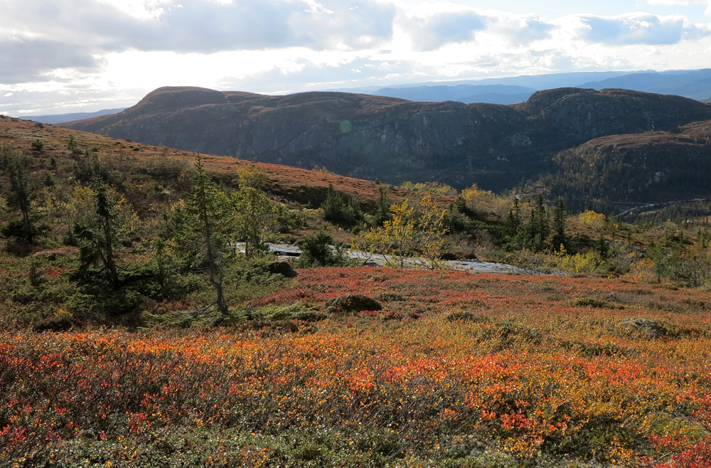 vassfarfjellet