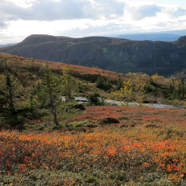 vassfarfjellet