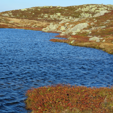 vassfarfjellet, autumn