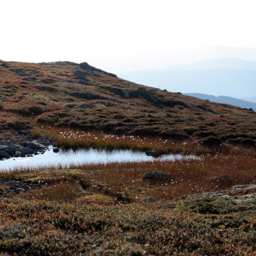 vassfarfjellet, autumn