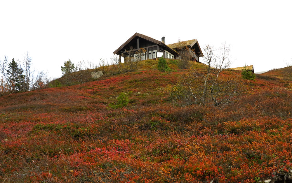 vassfarfjellet