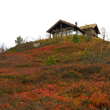vassfarfjellet