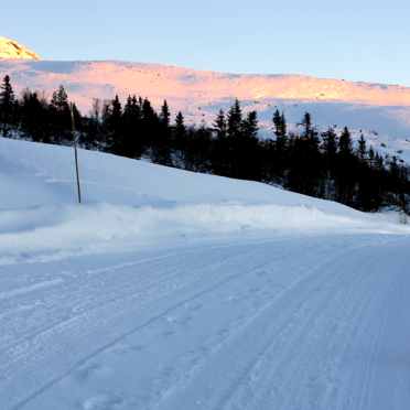 vassfarfjellet, damtjernhallin: safety first!