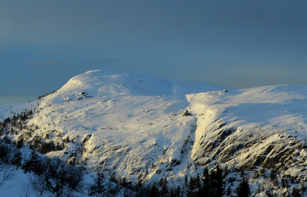 vassfarfjellet, flå